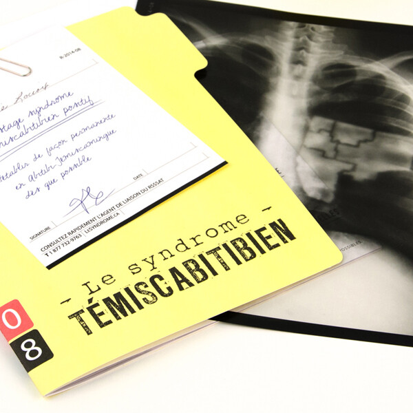 Réseau de la santé et des services sociaux de l’Abitibi-Témiscamingue